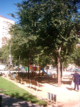 plaça Mossèn Clapés