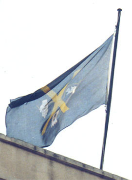 la bandera de Sant Andreu de Palomar al 'Districte'... de cap per avall !!