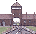 Els camps de concentració nazis, a fons