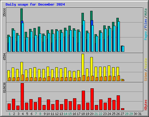 Daily usage for December 2024