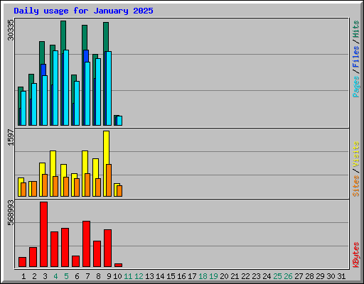 Daily usage for January 2025