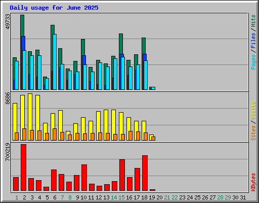 Daily usage for June 2025