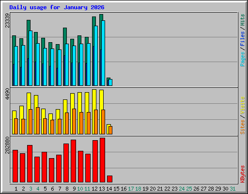 Daily usage for January 2026