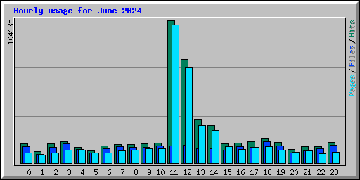 Hourly usage for June 2024