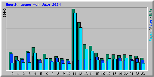 Hourly usage for July 2024