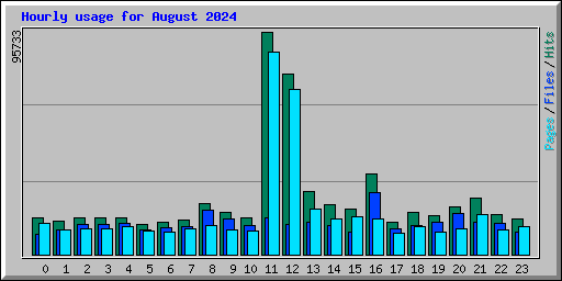 Hourly usage for August 2024