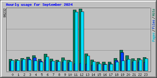 Hourly usage for September 2024