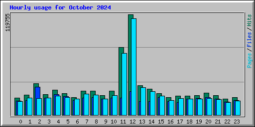 Hourly usage for October 2024