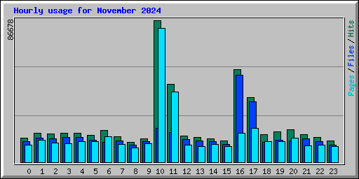 Hourly usage for November 2024