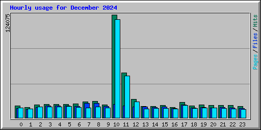 Hourly usage for December 2024