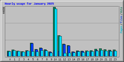 Hourly usage for January 2025