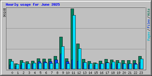 Hourly usage for June 2025