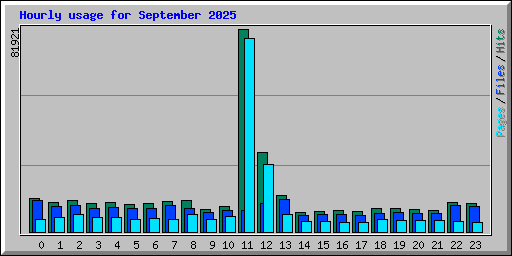 Hourly usage for September 2025
