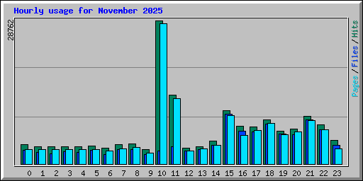 Hourly usage for November 2025