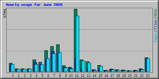 Hourly usage for June 2026