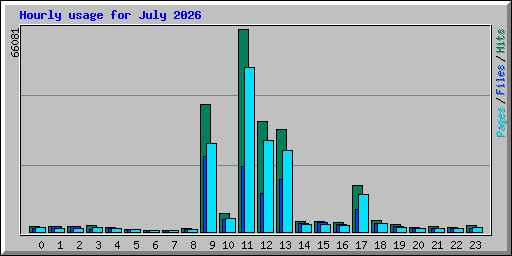 Hourly usage for July 2026