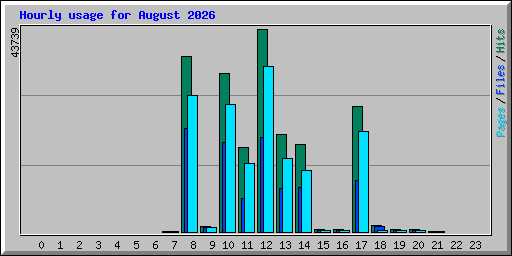 Hourly usage for August 2026